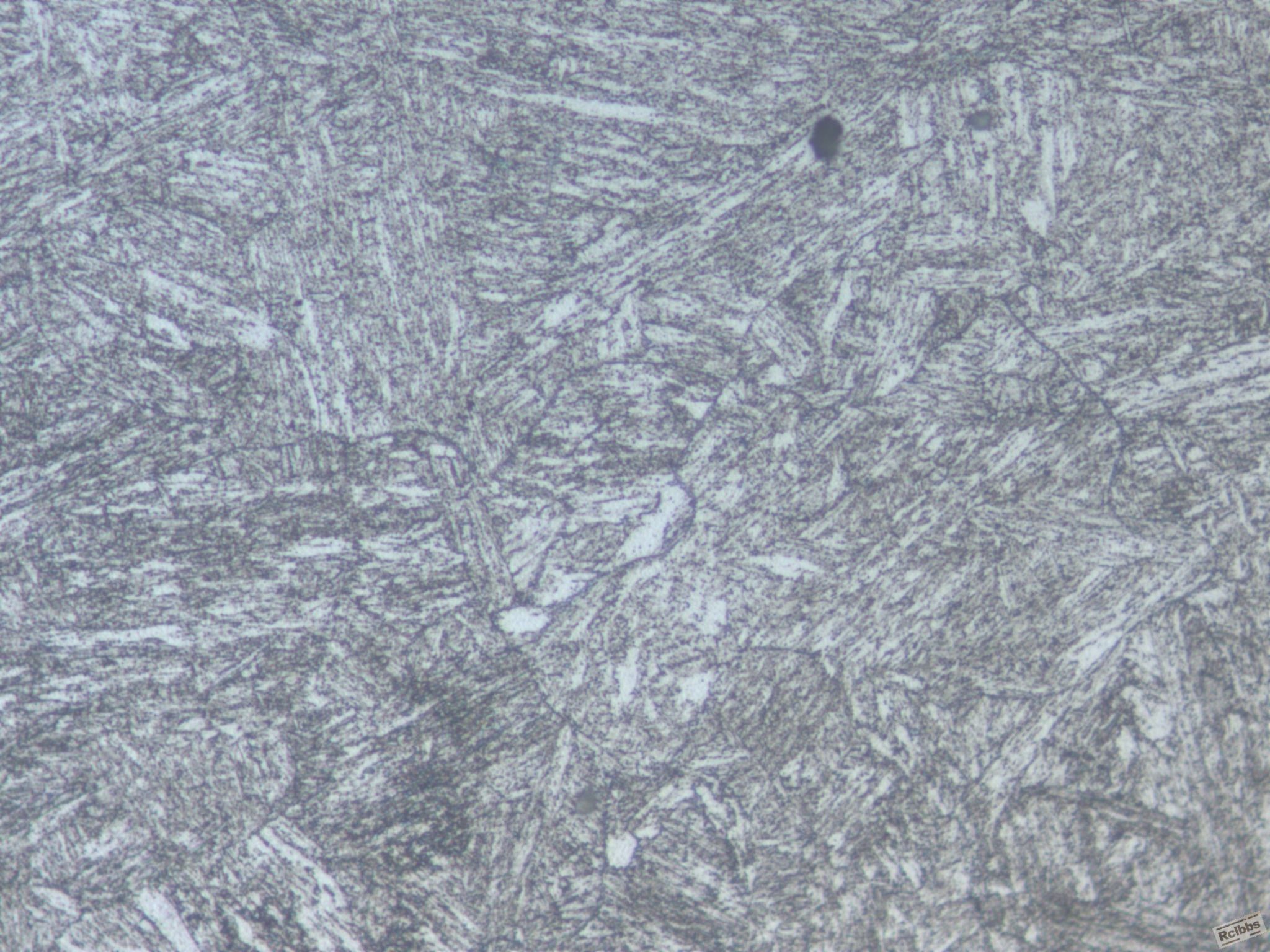 HB5  500X001.jpg