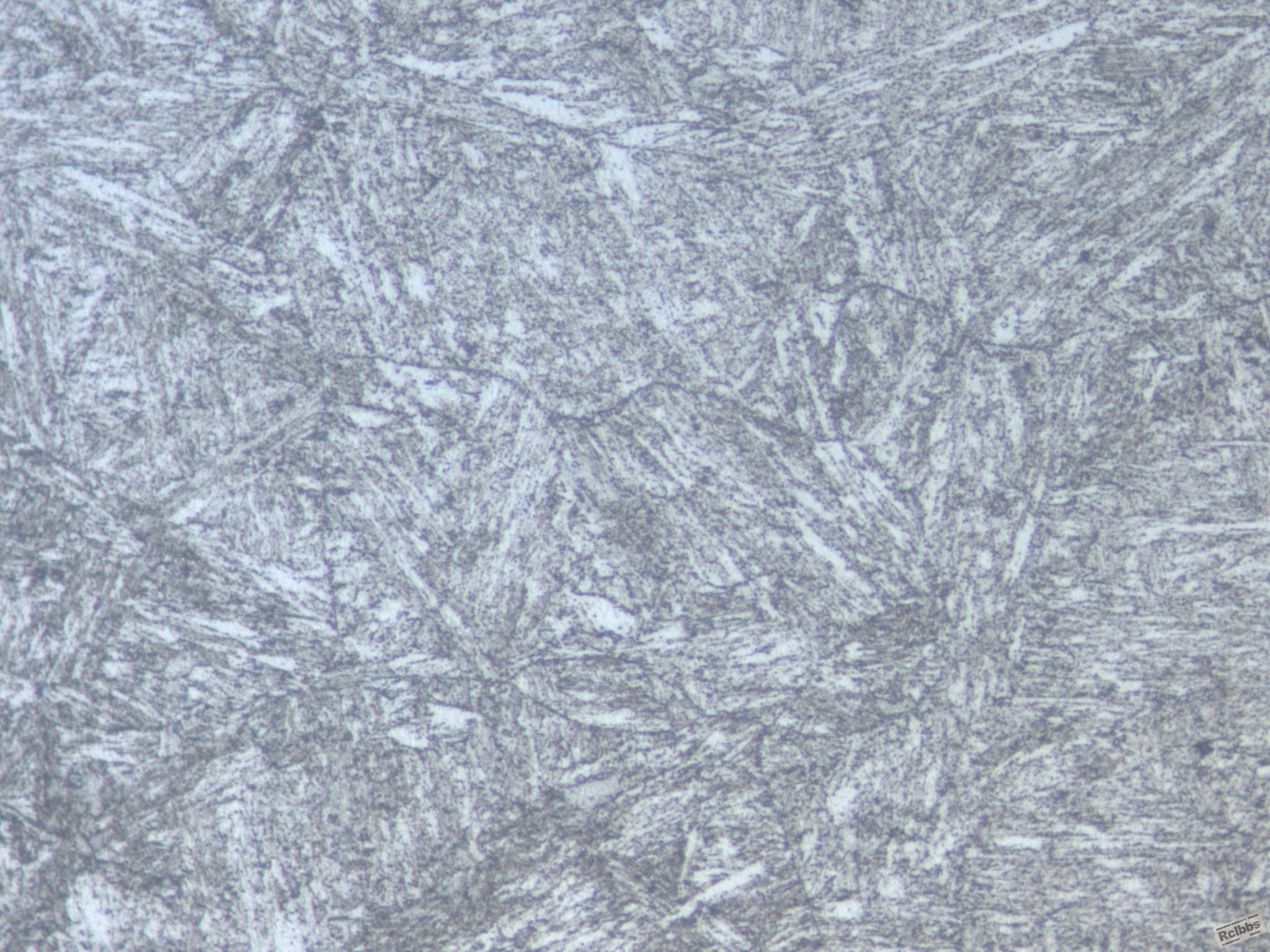 HB5  500X0002.jpg