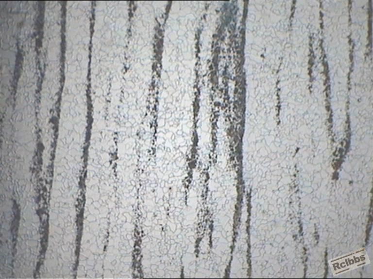 正火后的试样再完全退火100X，正火时弥散的珠光体全部聚集成带状