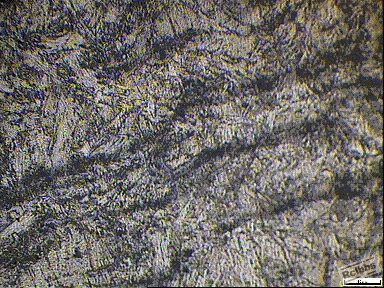123-12   100X.JPG