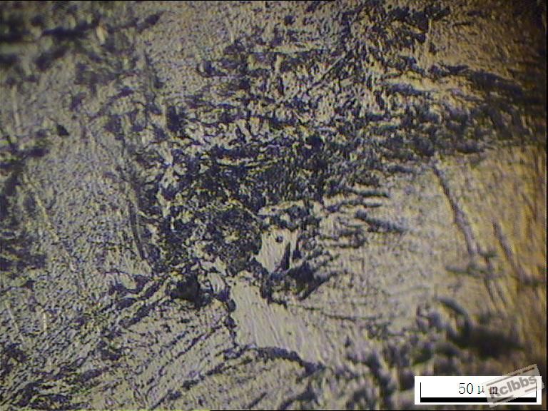 123-2  400X.JPG