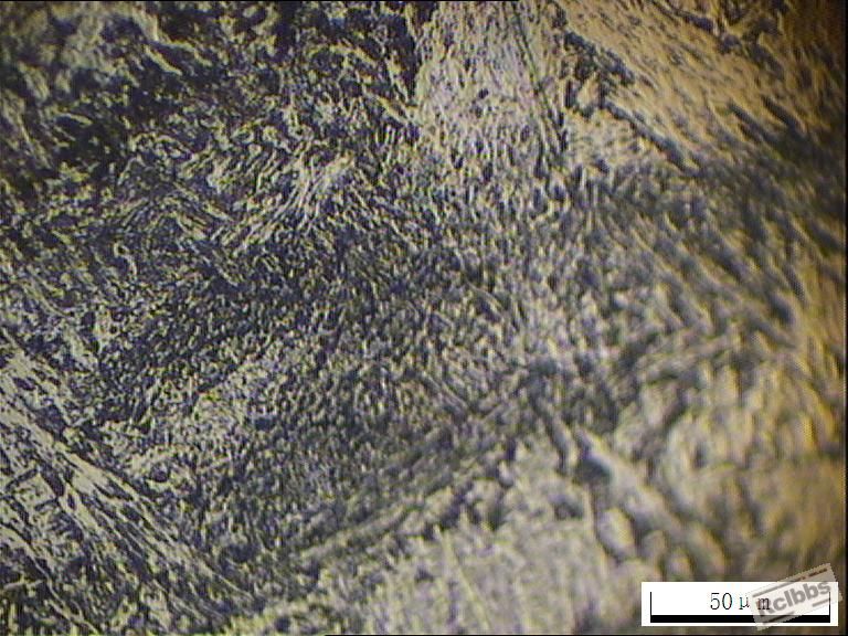 123-3  400X.JPG