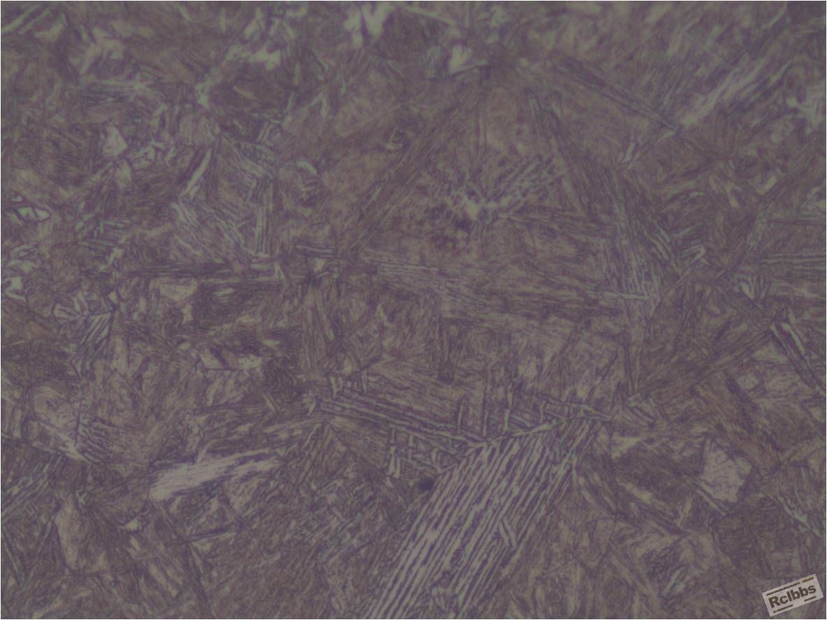 Picture2.jpg