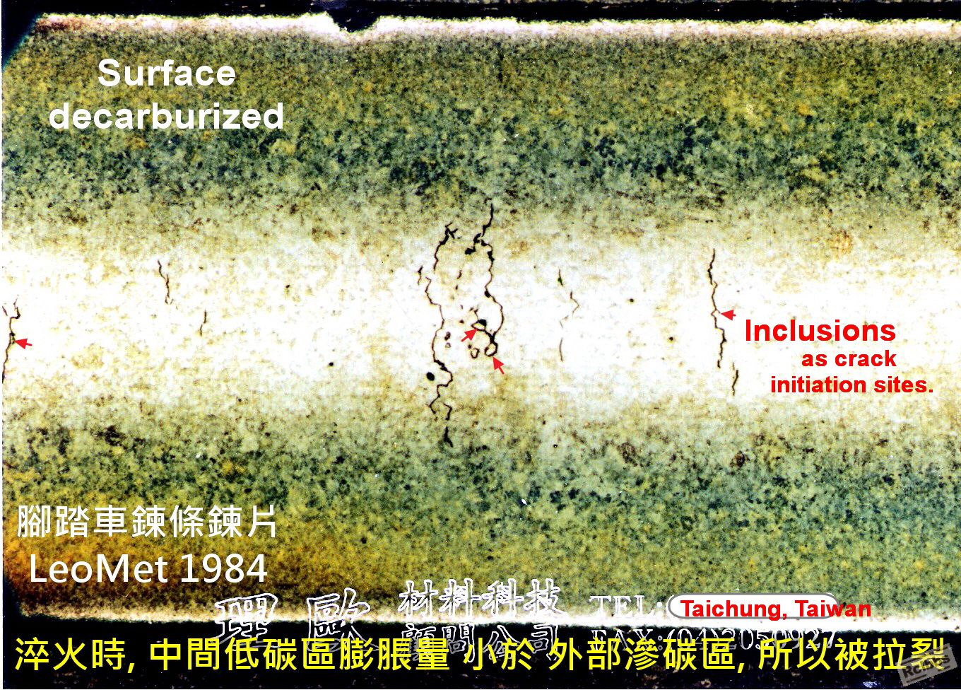 鏈片 1984.jpg