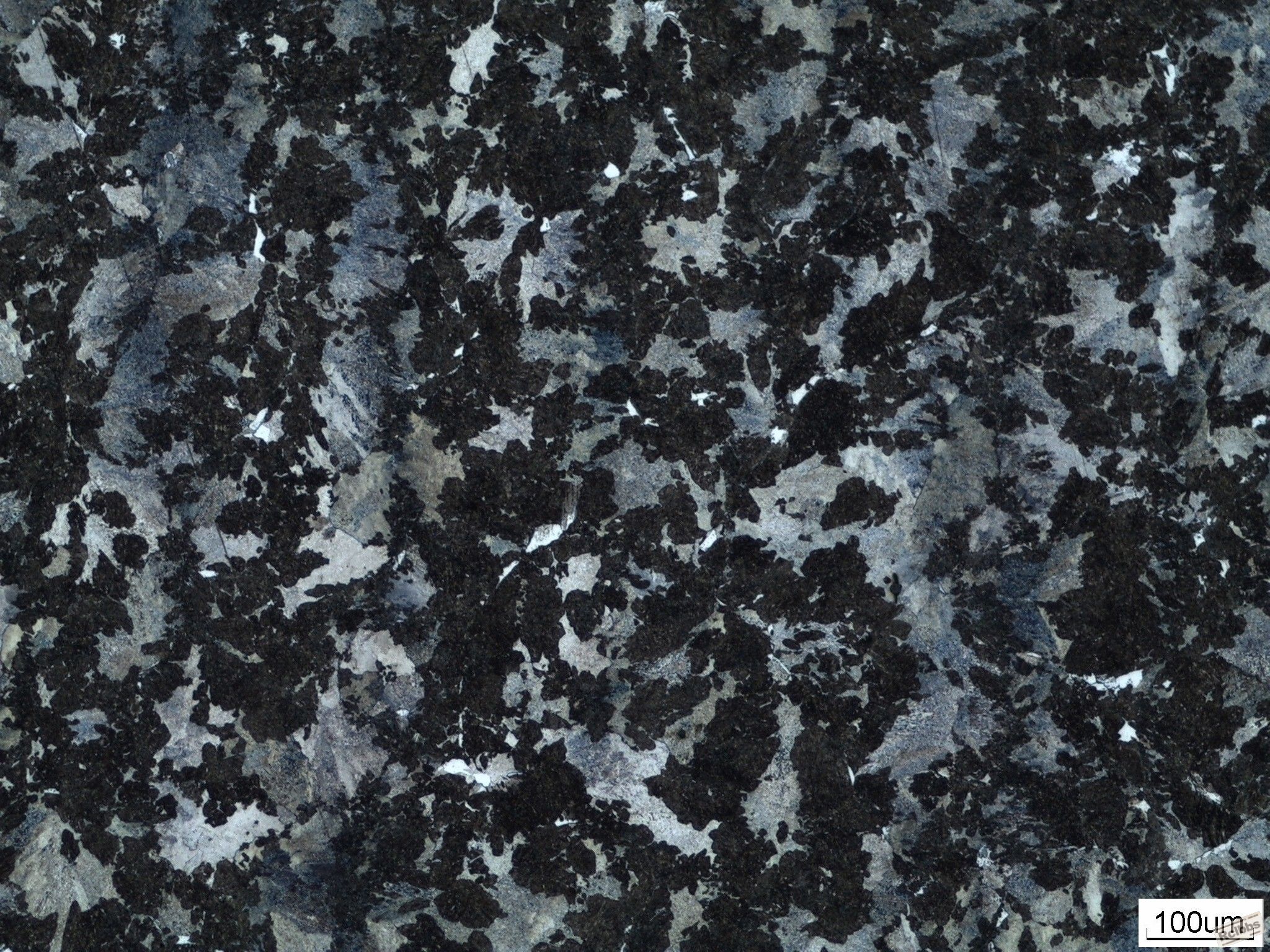 image2293.jpg