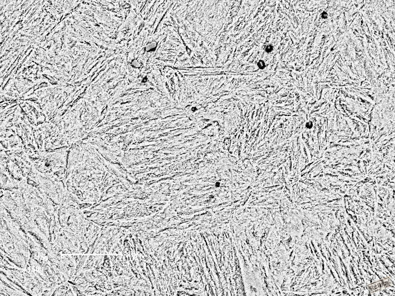 jiemian-nano-1-1hao-jiti-1-BSE.jpg