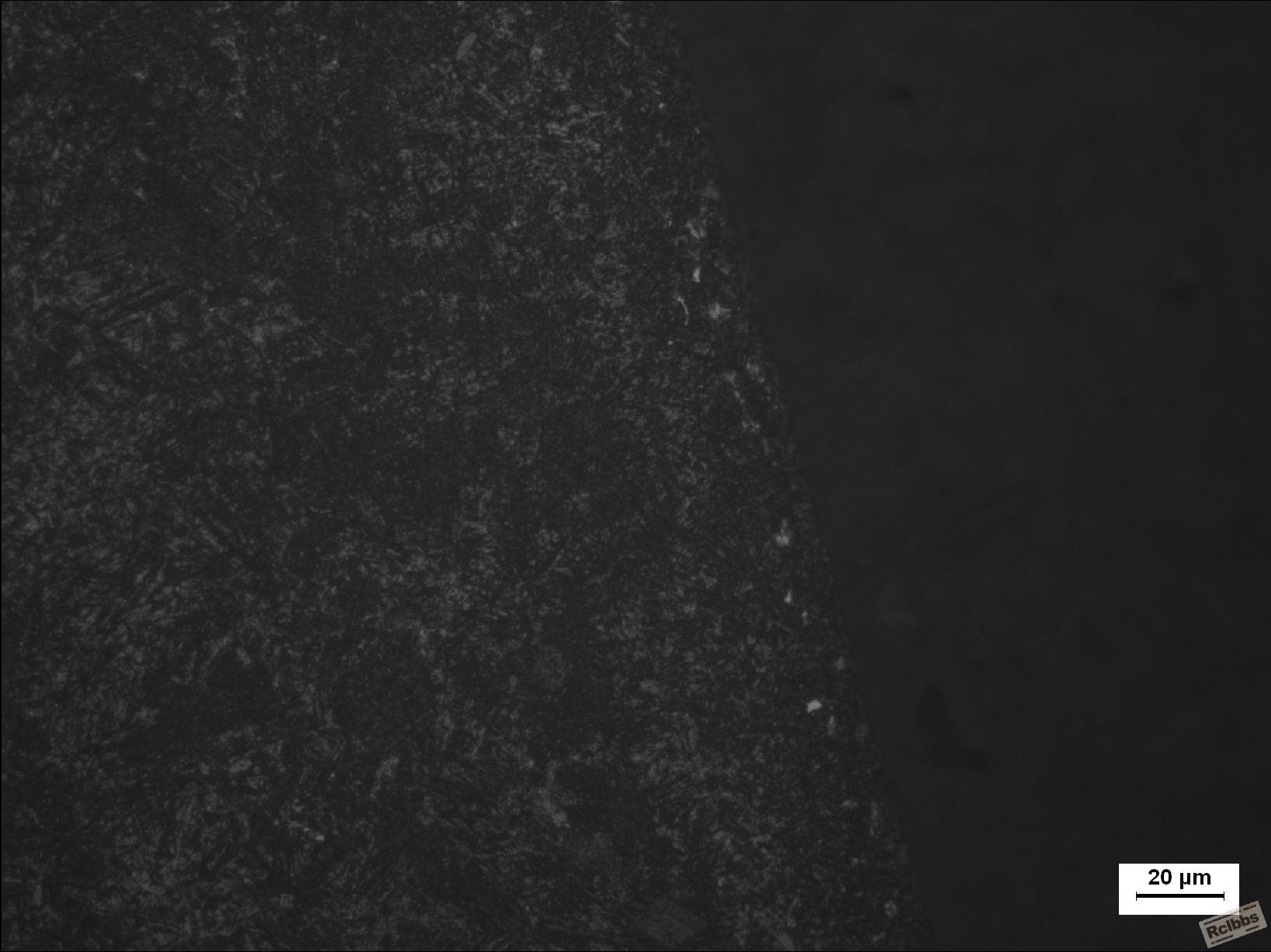 表面500X.JPG