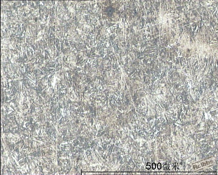 T5-100-1.jpg