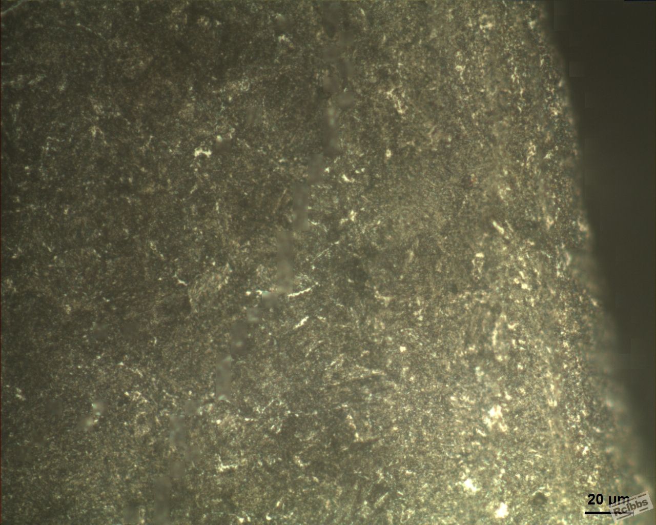 表面组织2