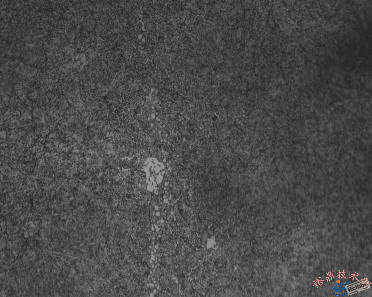 500X组织及碳化物聚集淬回火46-48HRC.jpg