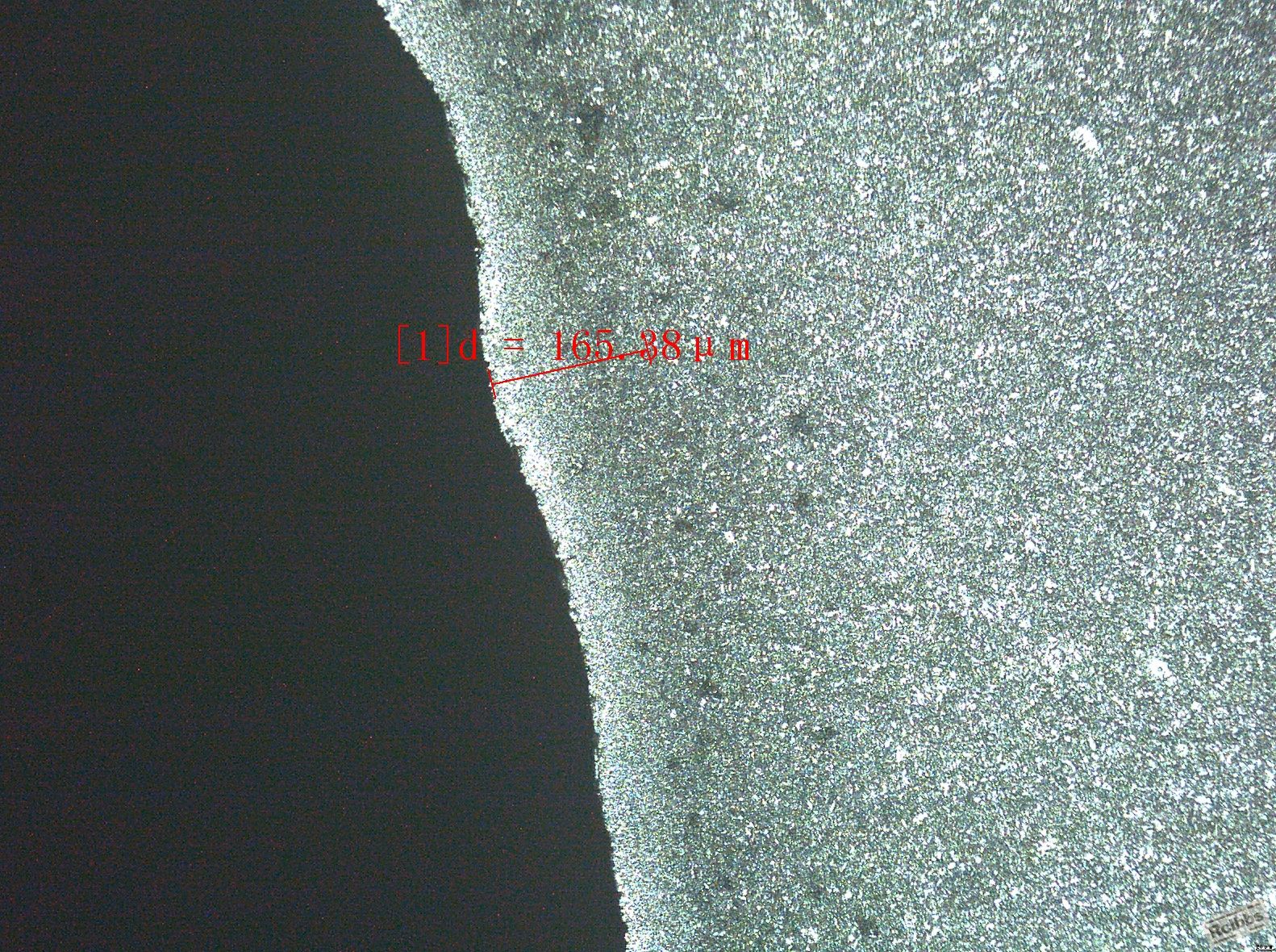 wenjin 100倍.JPG