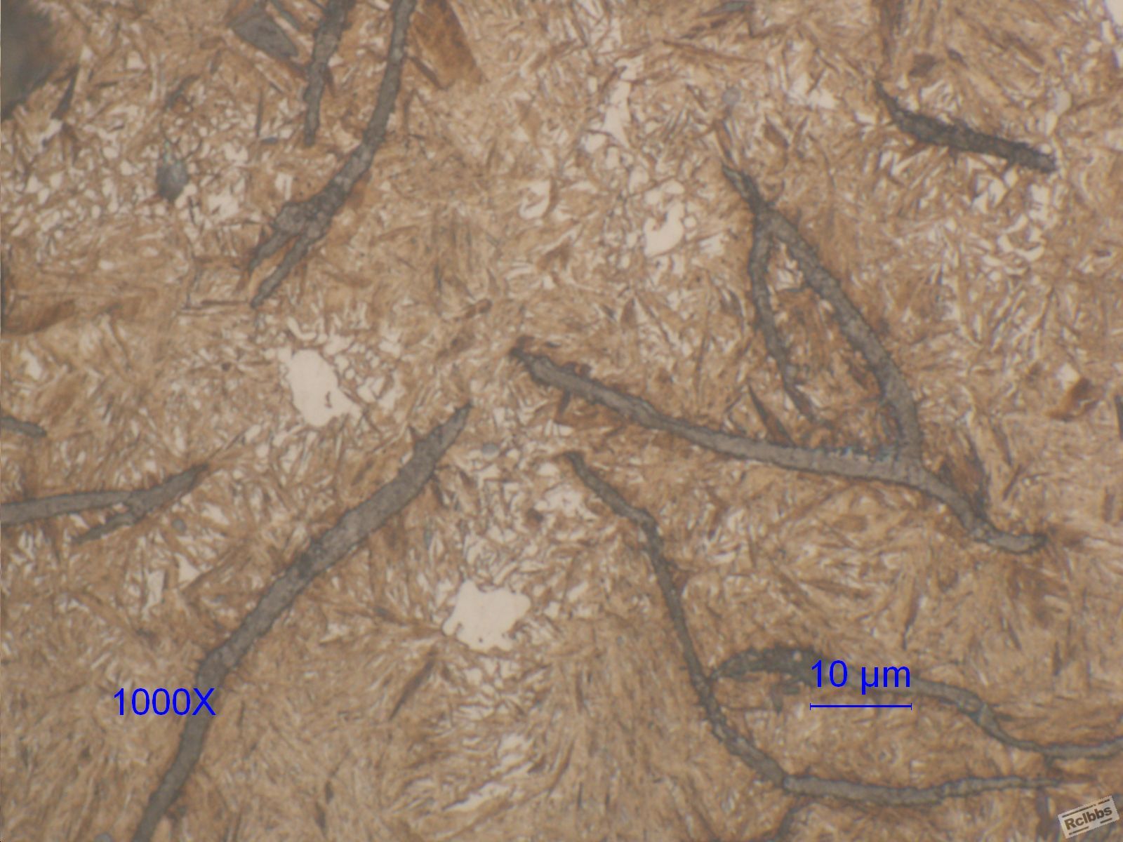 1000X-1.JPG