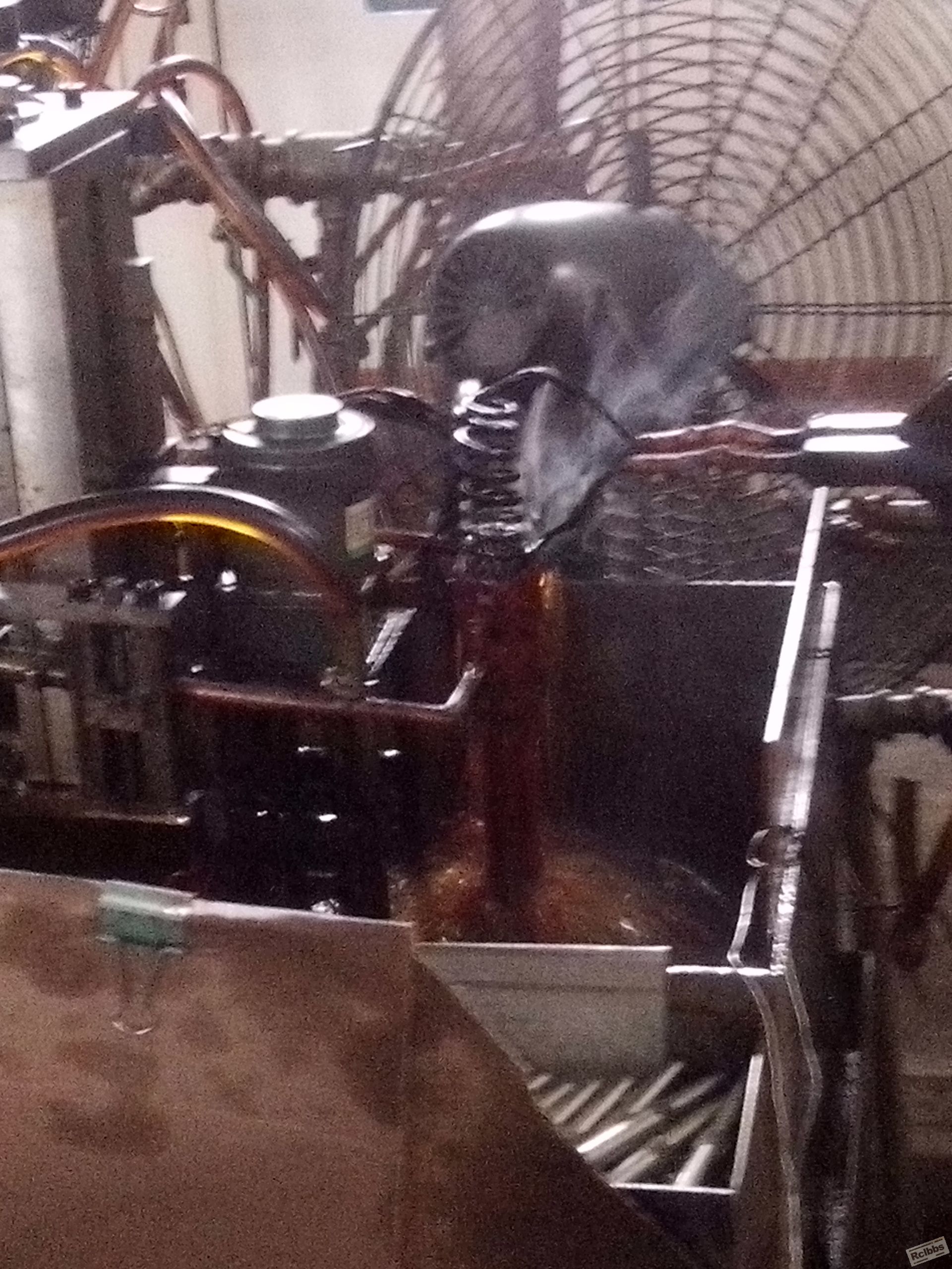 照片_20140513_151445.jpg