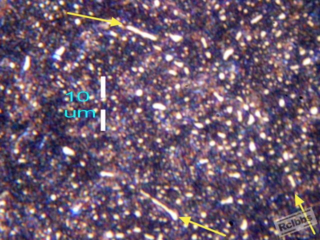 AAP5105587.jpg