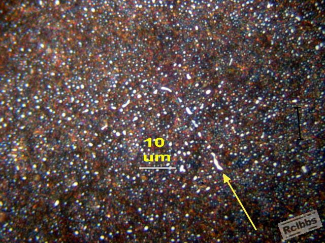 AAP5105626.jpg