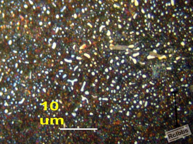 AAP5105636.JPG