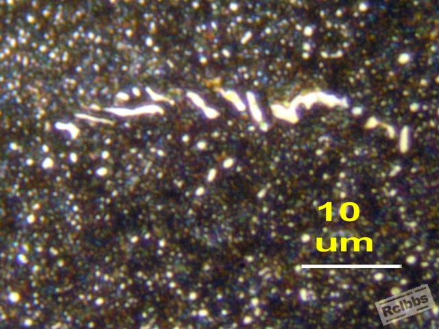 AAP5105702.jpg