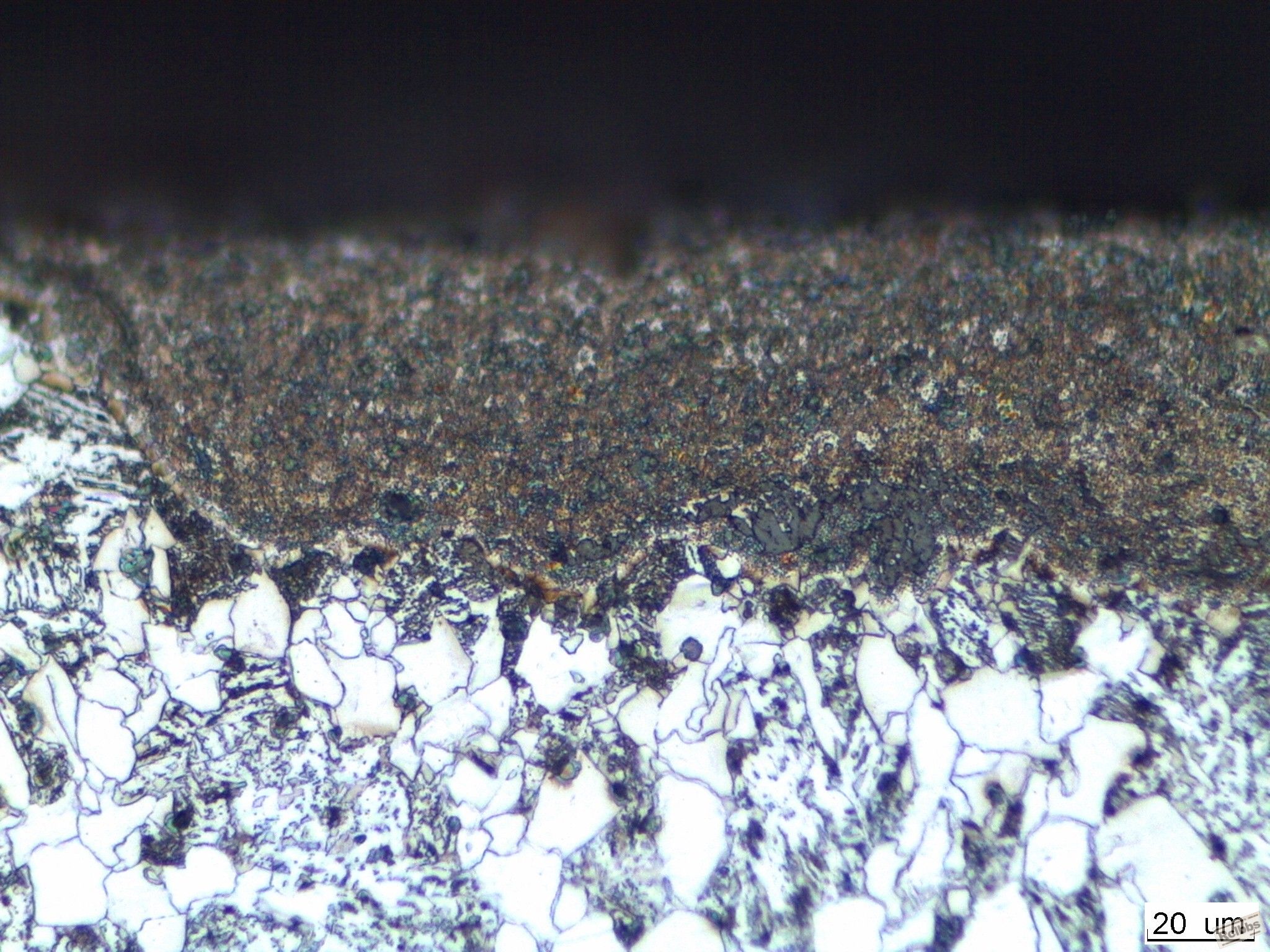 image2594.jpg