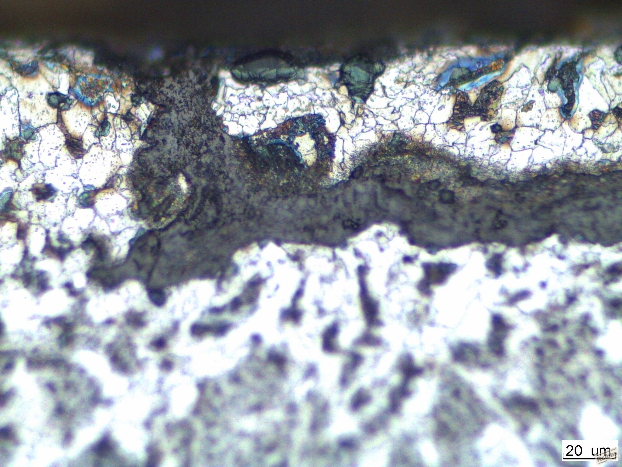 image2591.jpg