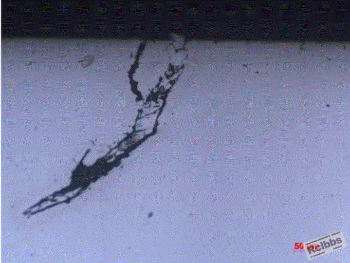 2.GIF