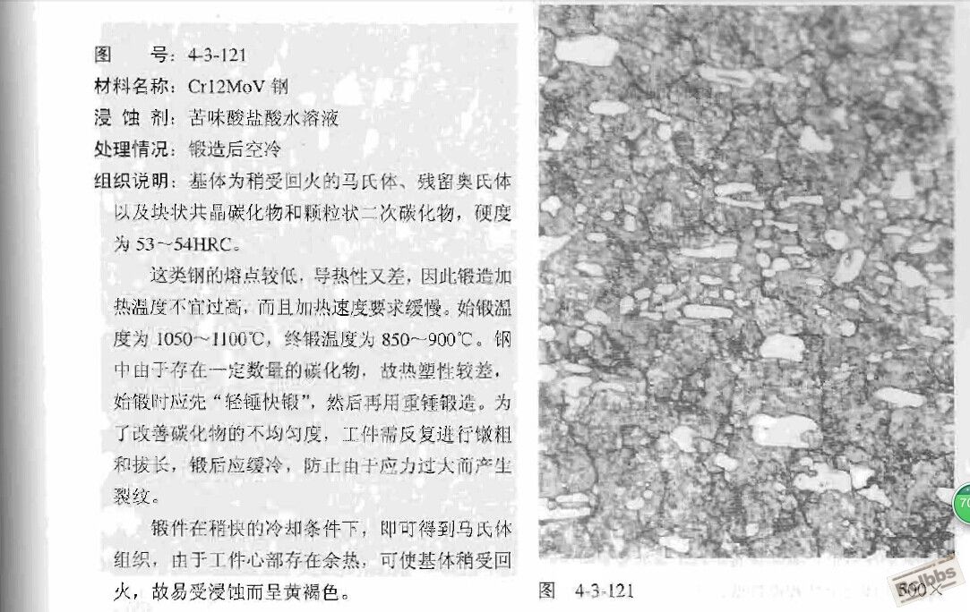 相近的组织说明