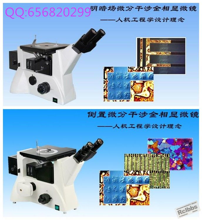 倒置微分干涉合图.jpg