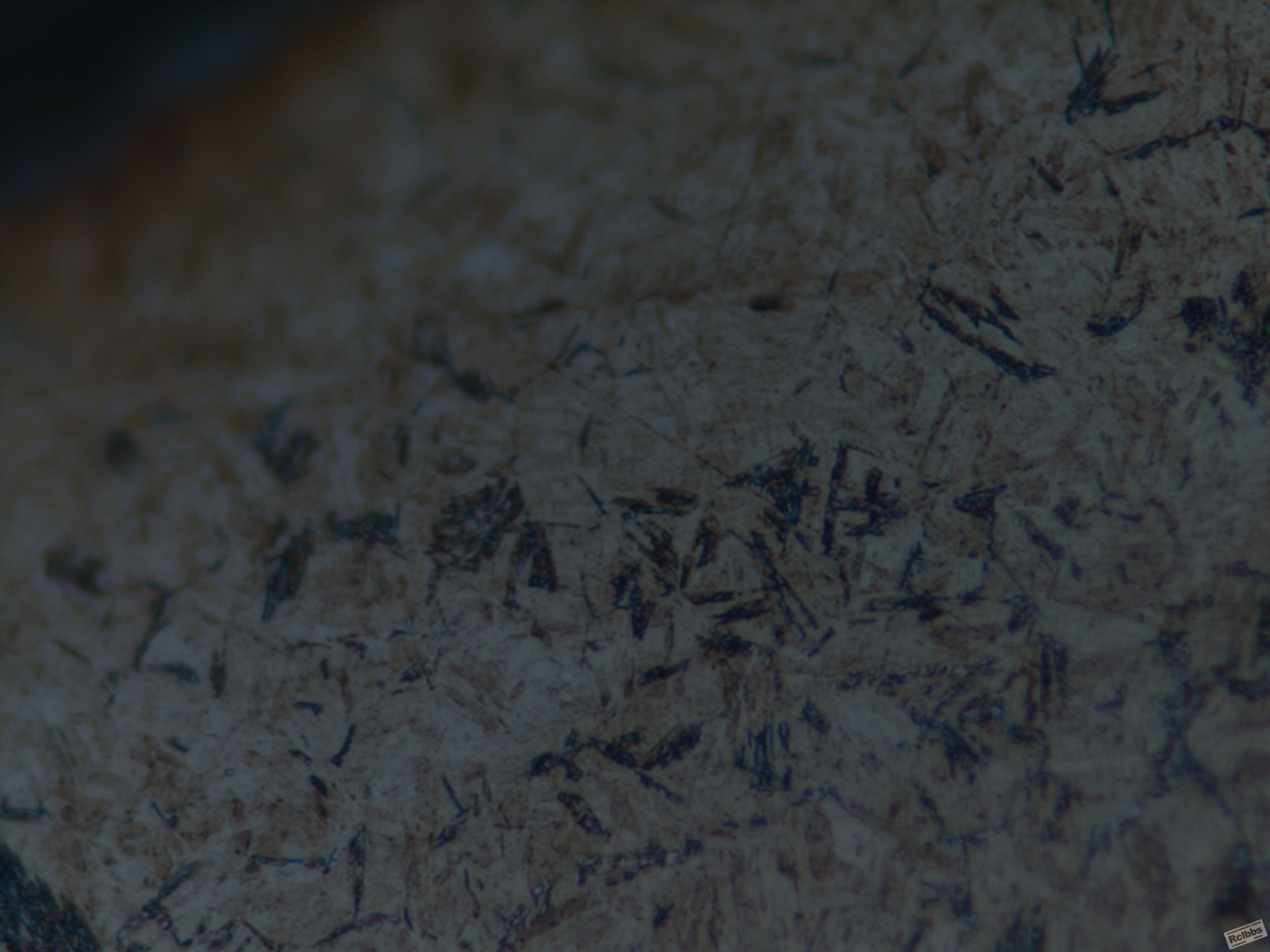 ７Ｄ１９３－３＃　surface　100０＊.jpg