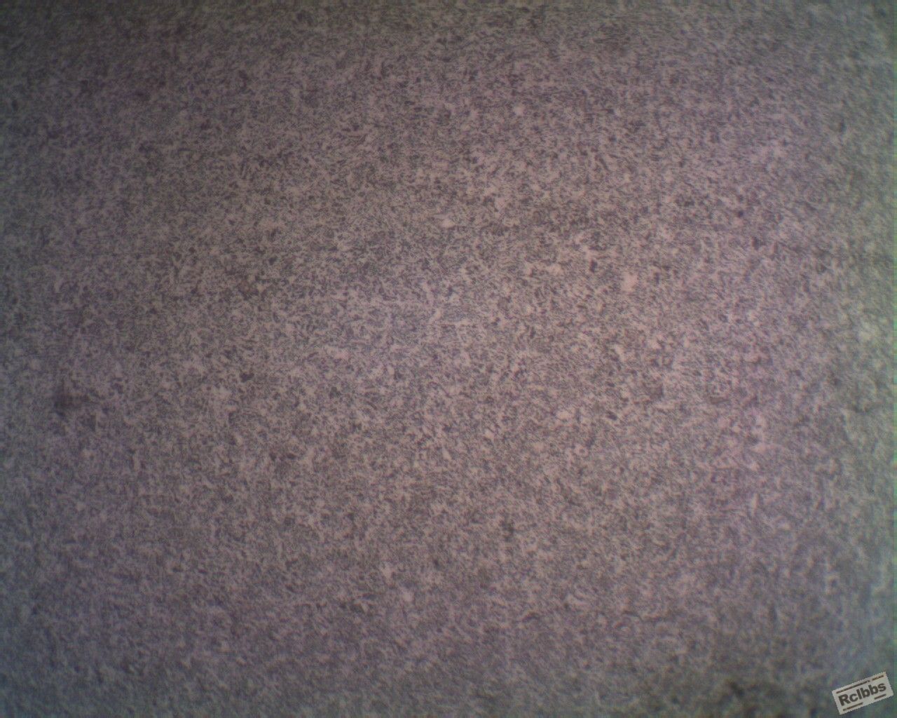 106-100.jpg