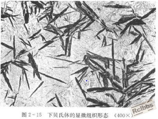 212858ozlbtvbqjnq60cyj.jpg