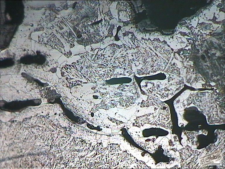 横向100X-5.jpg