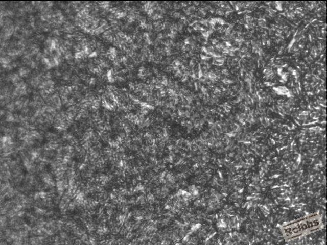 65Mn（500X).JPG