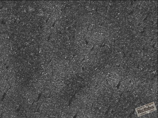 65Mn(100x).JPG