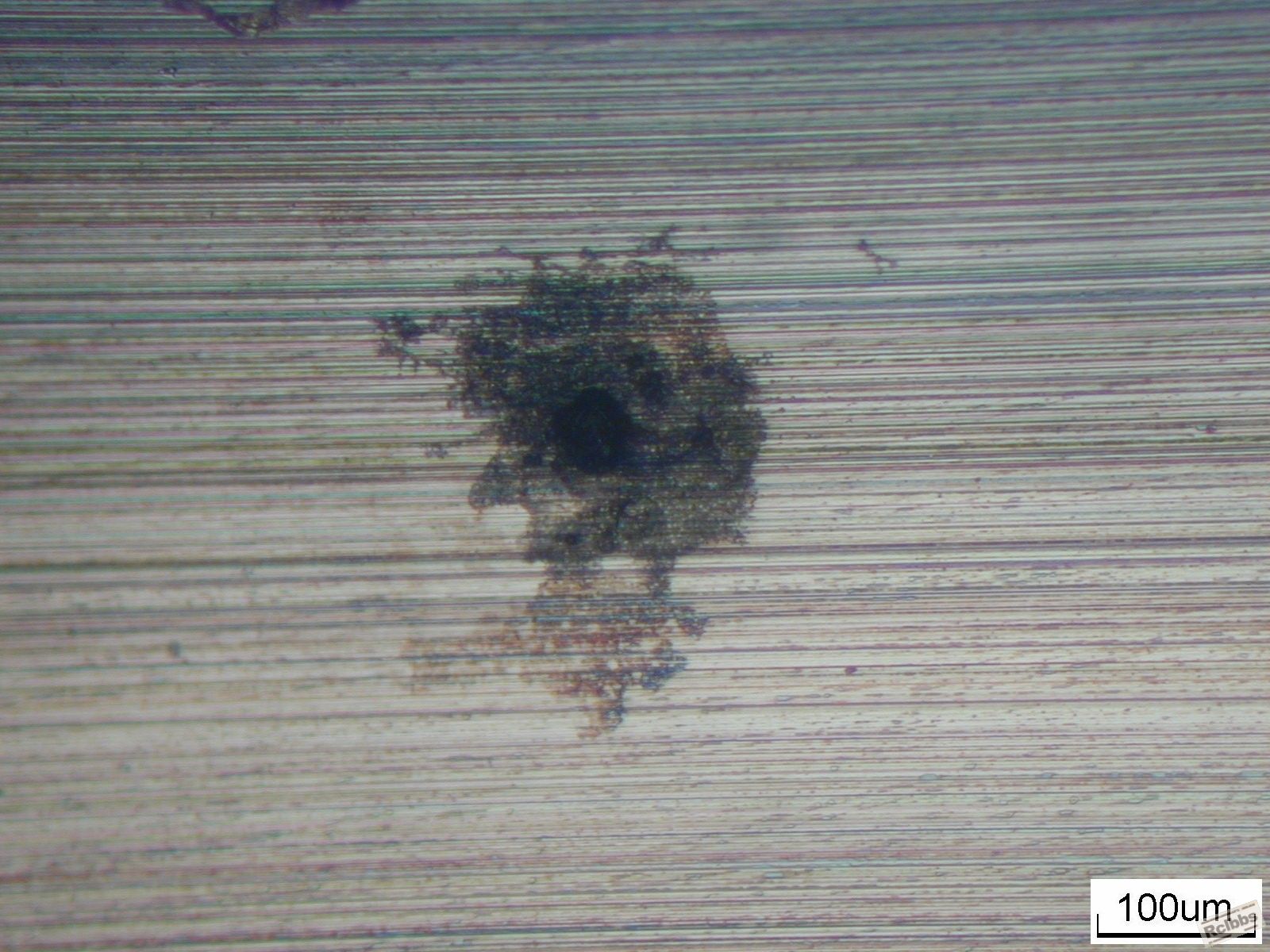 DSCN0578.jpg