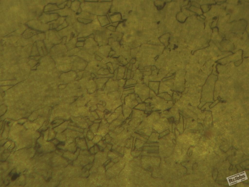 904L 100X.jpg