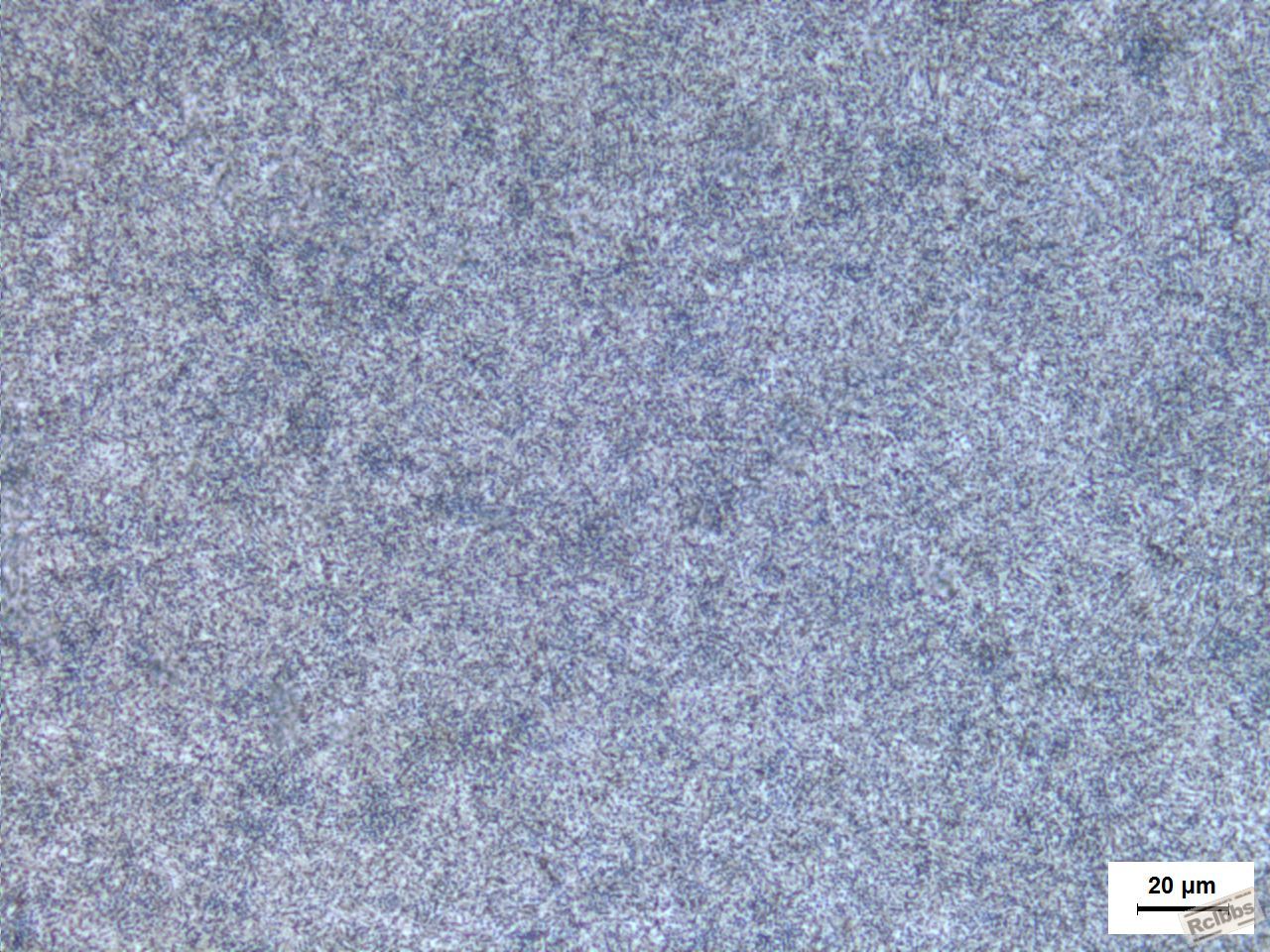 科耀-4.JPG