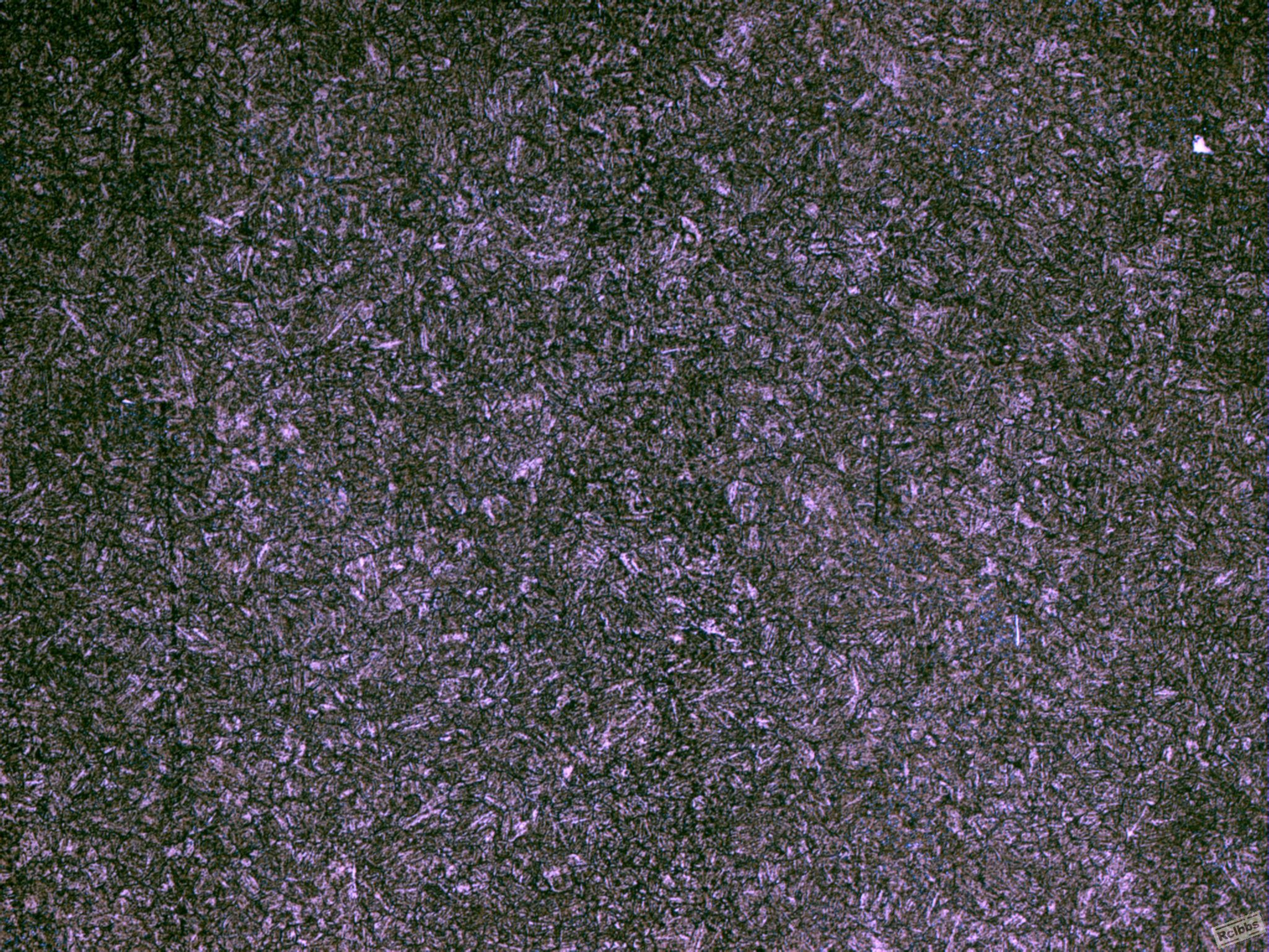 SS6-100x-1.JPG