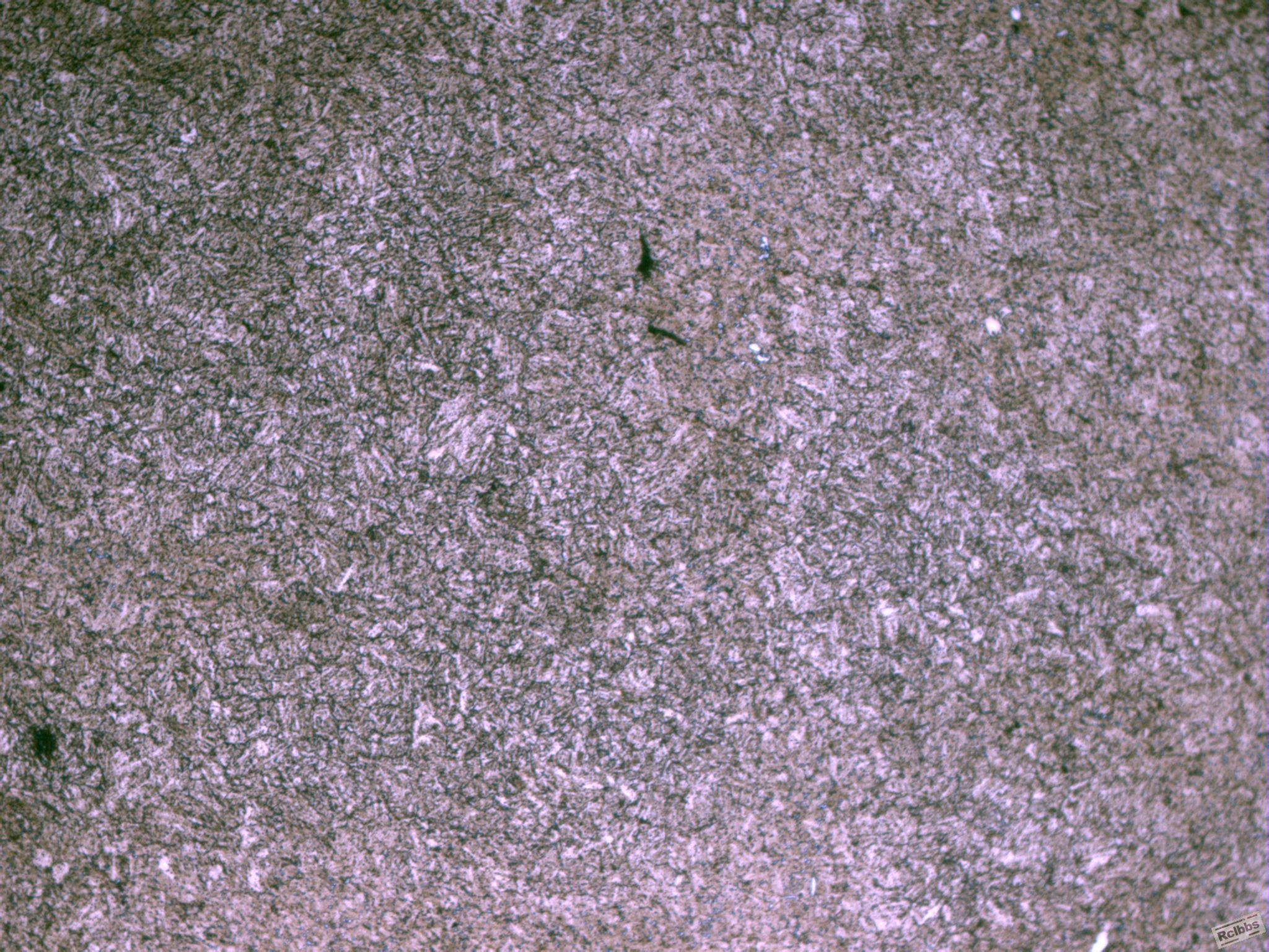 SS60-100x-1.JPG
