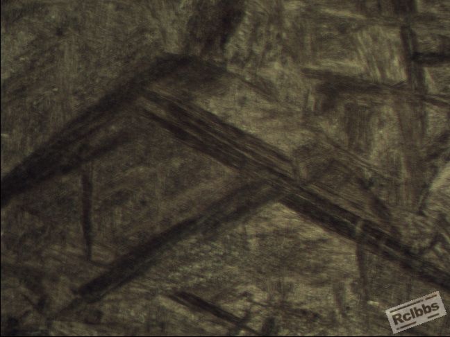 025-2 500X.jpg