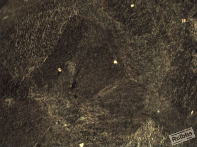 026-2 200X.jpg