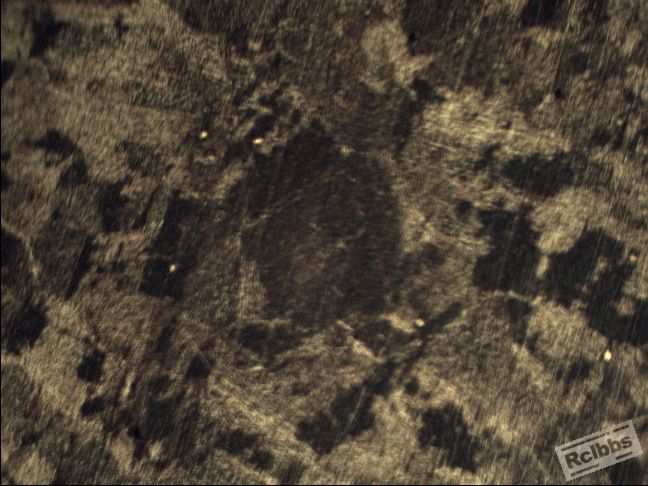 026-2 100X-2.jpg