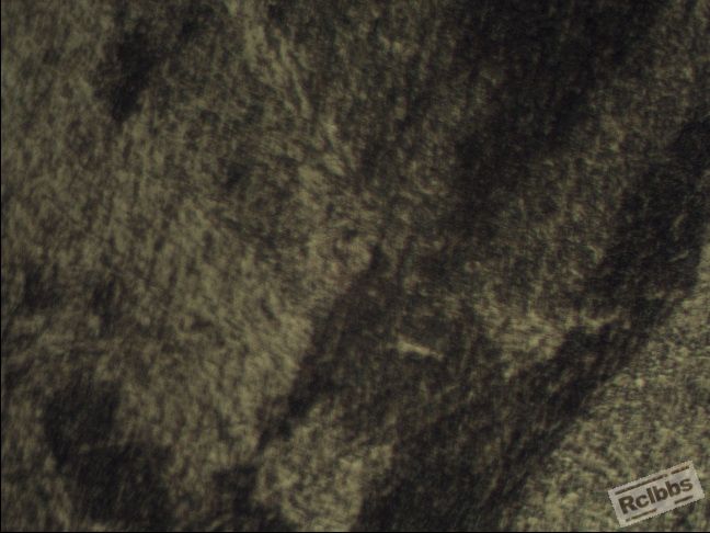 026-2 500X-2.jpg