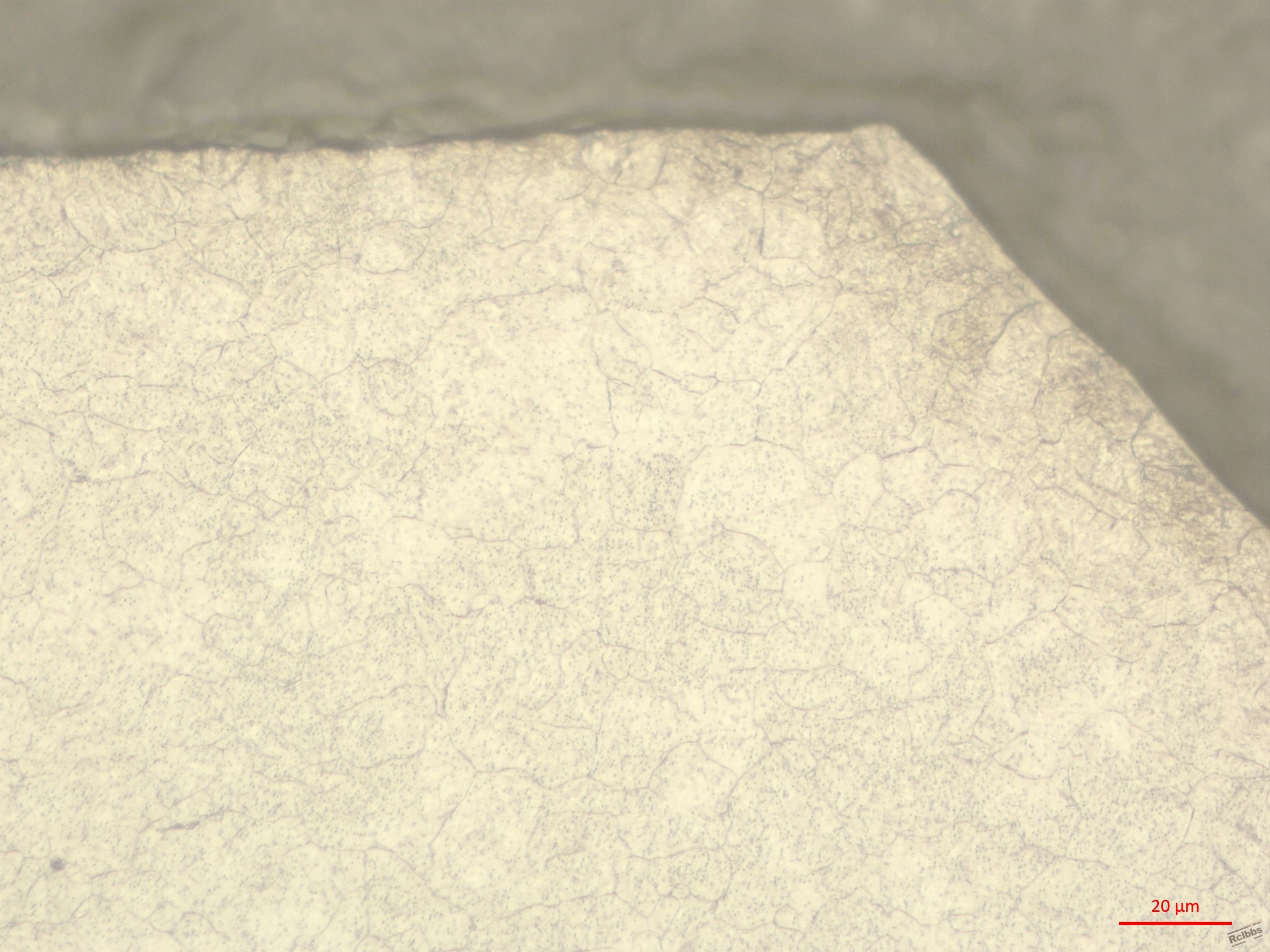 surface.jpg