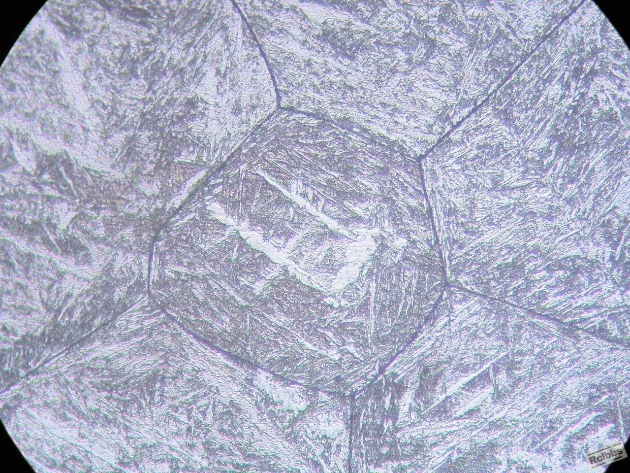 DSCN7256.JPG