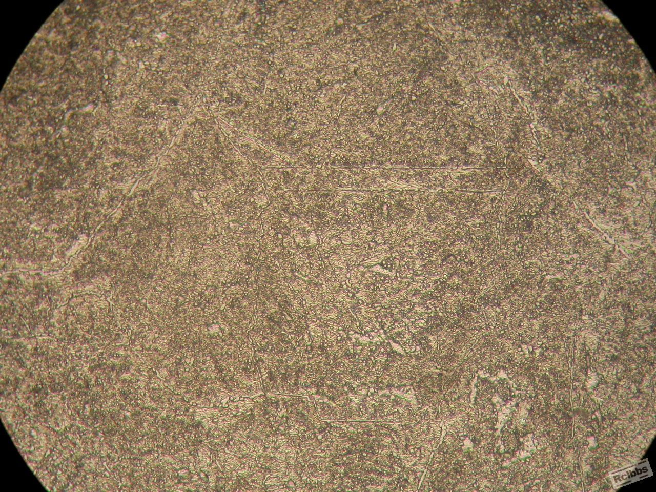 DSCN9986.JPG