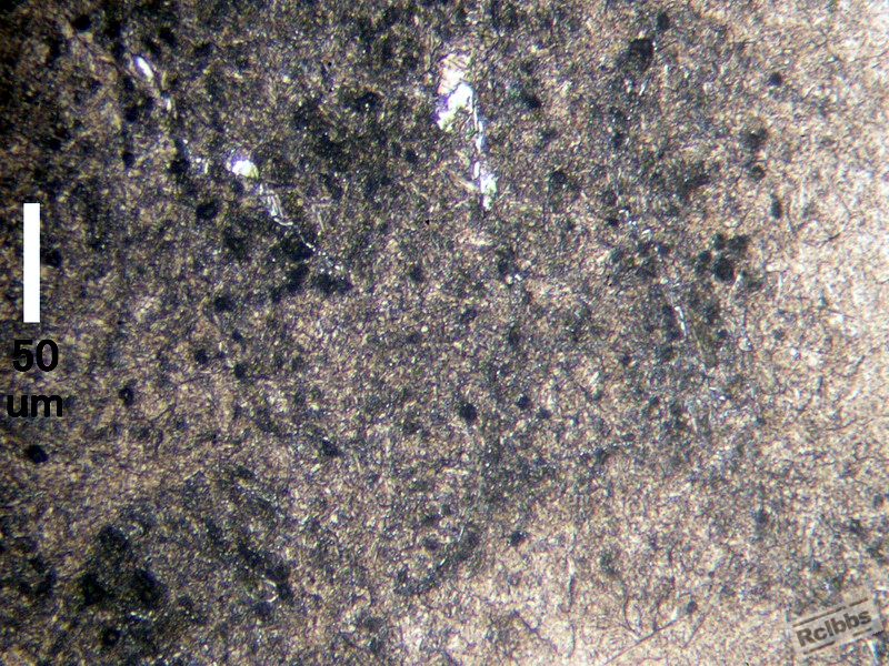 枝晶界 LFZ 上的 Carbide & inclusions an pits.