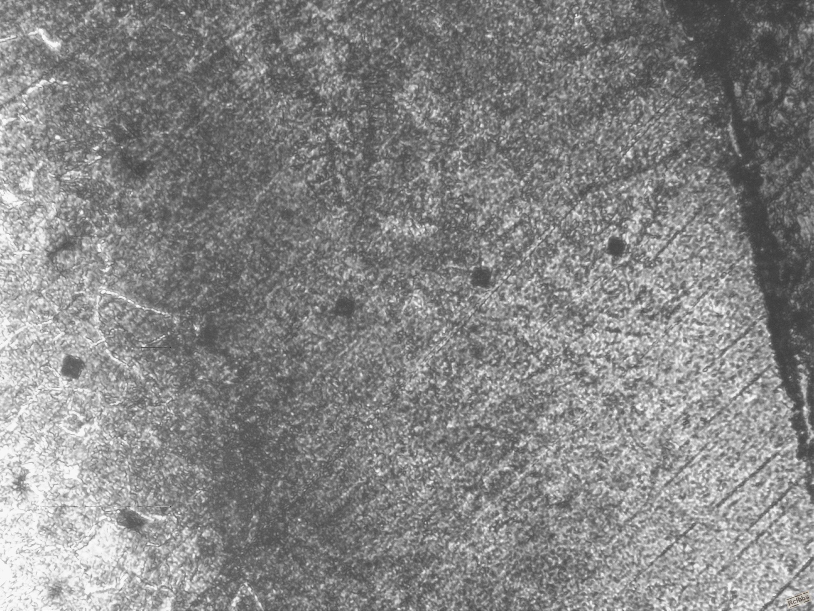 100X（表层）已回火-1.JPG