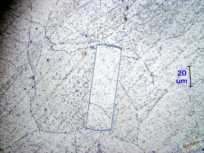 P1011651.jpg