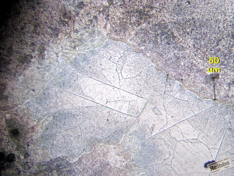 P1011659.jpg