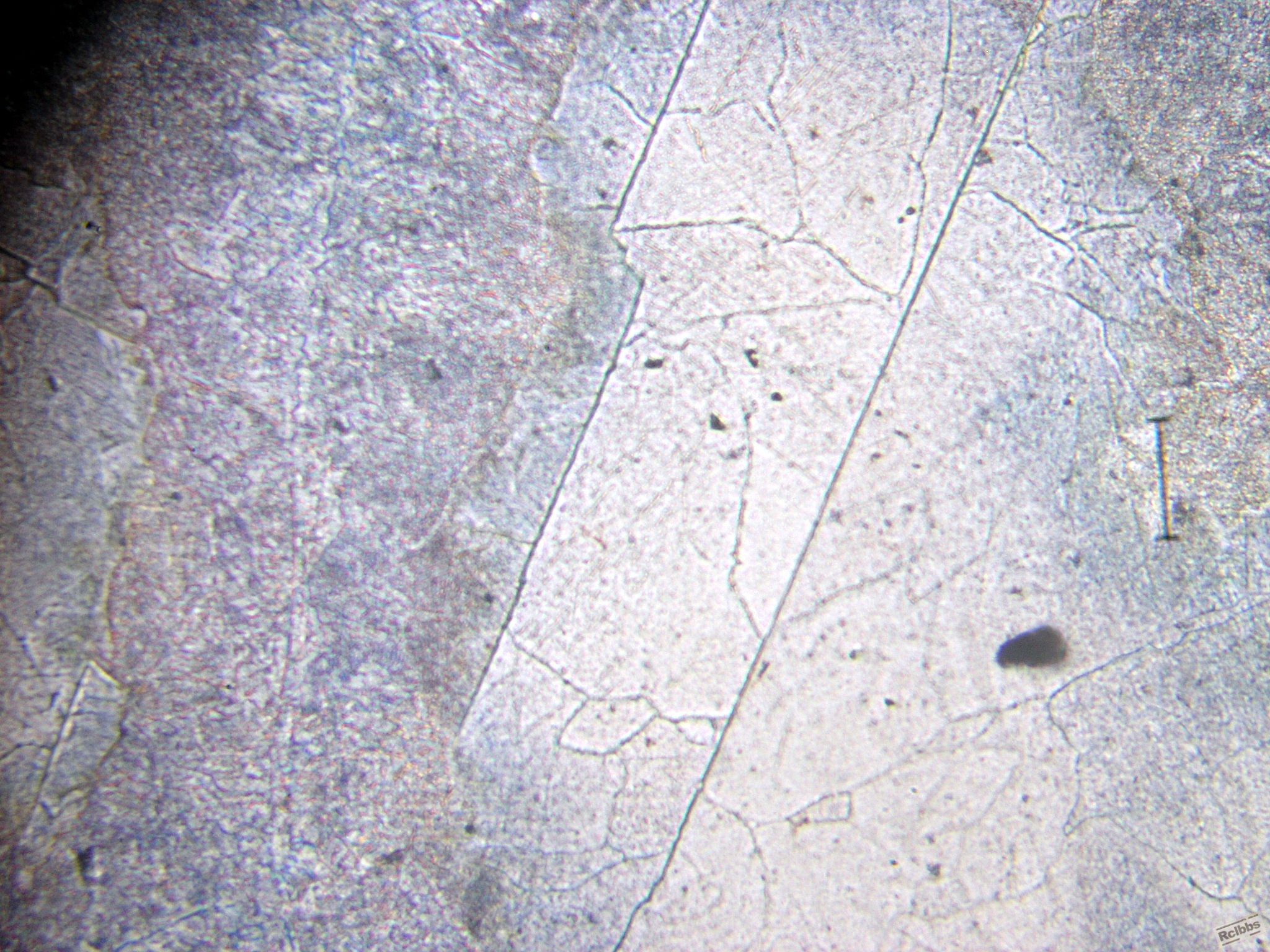 P1011673.jpg