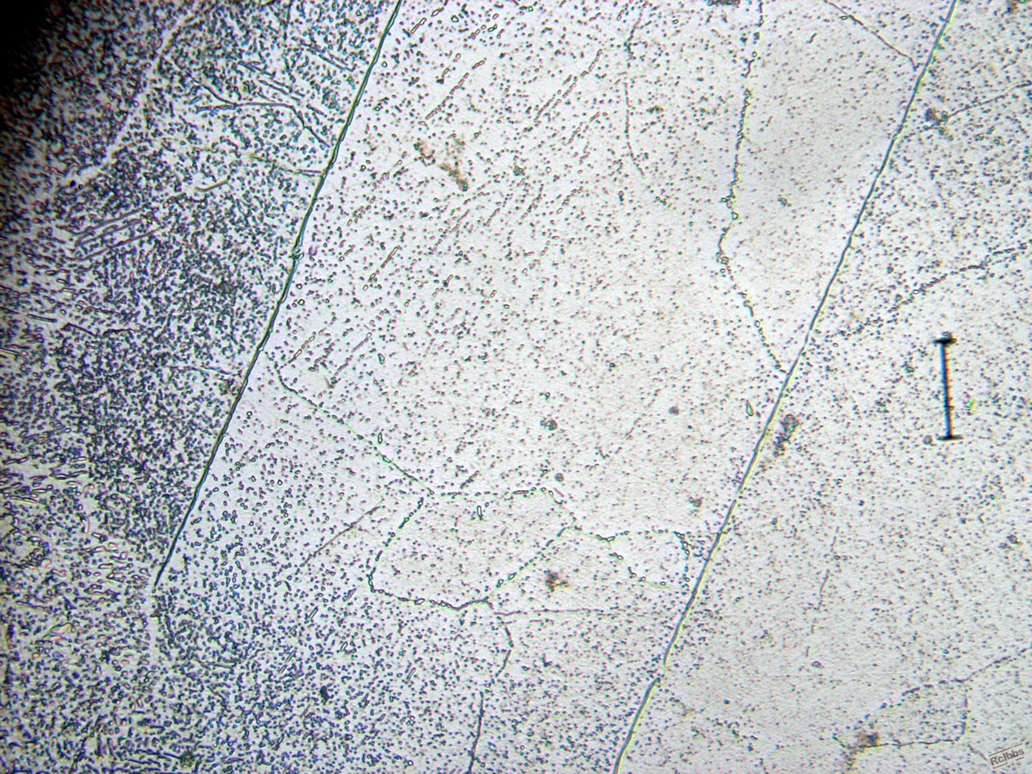P1011674.jpg